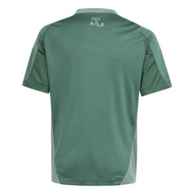Camiseta de fútbol Nigeria Special Edition 2024 Verde